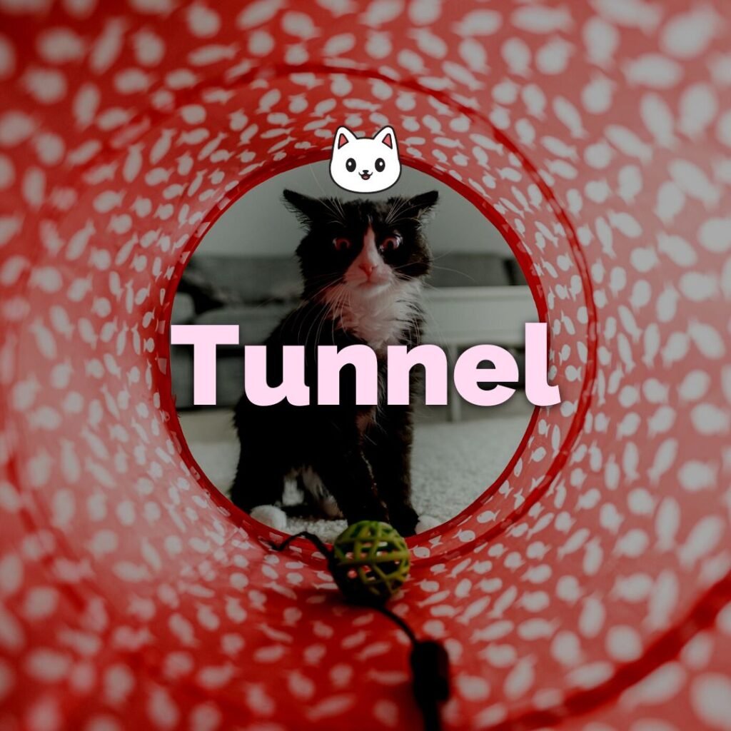 Túnel para gatos