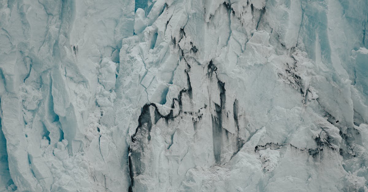 découvrez arctic curl, le fer à boucler révolutionnaire pour des boucles parfaites, même dans les conditions extrêmes de l'arctique.