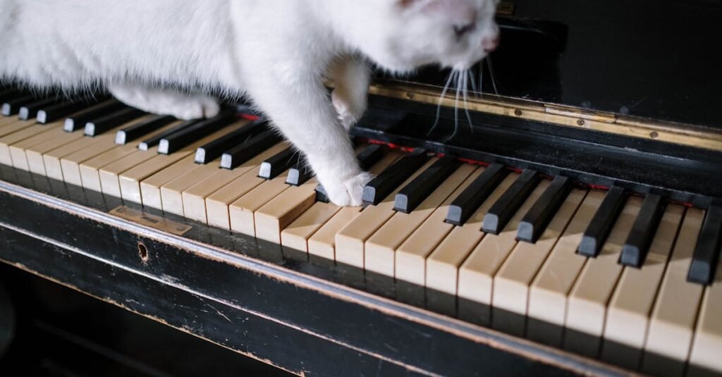 découvrez la réaction des chats à la musique - un moment adorable et drôle à ne pas manquer !